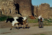 diyarbakir05.jpg