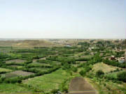 p41.jpg